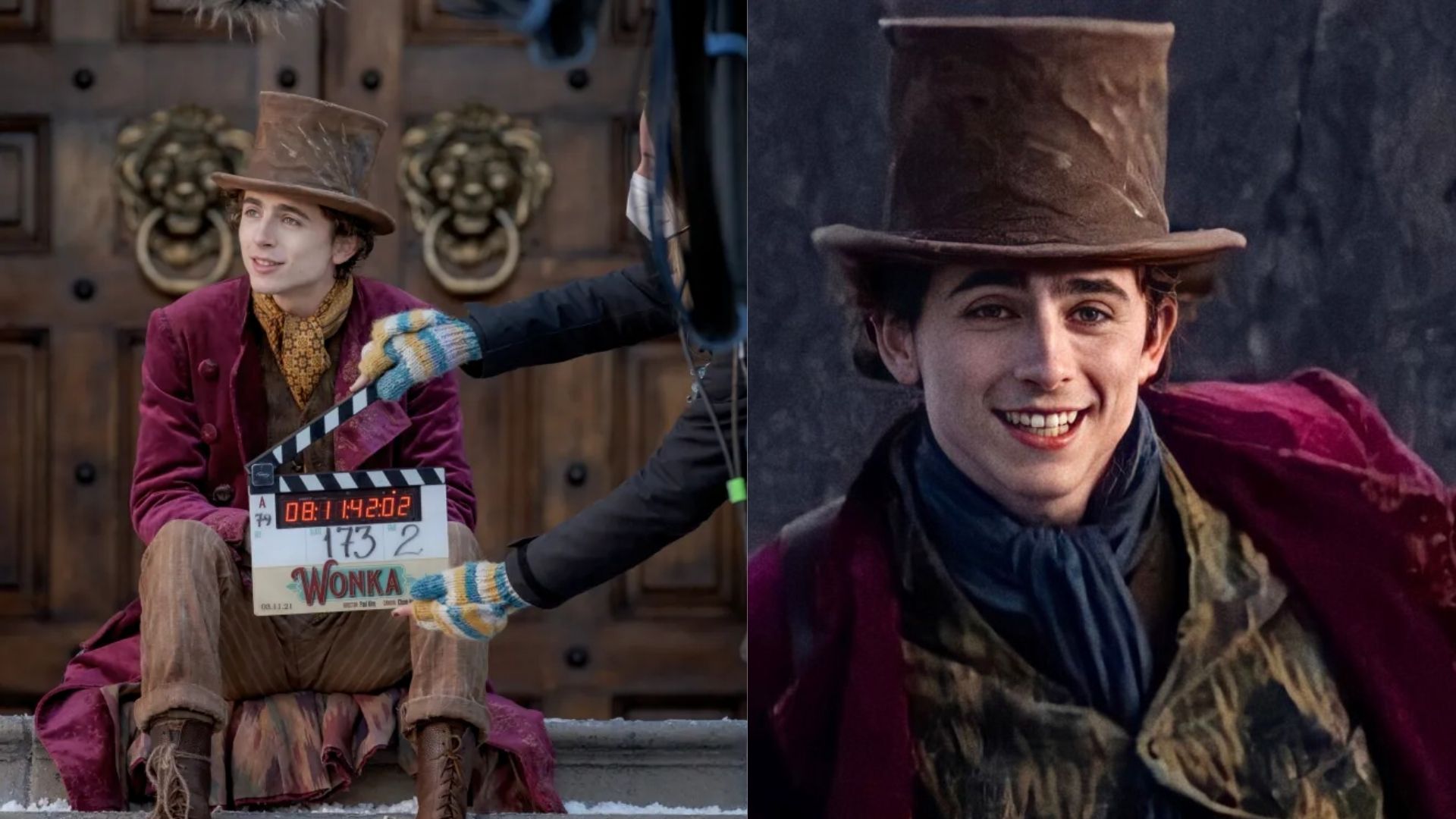 Did Timothée Chalamet Sing in Wonka